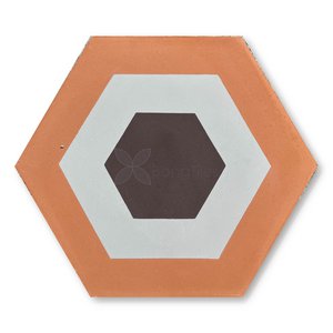 BongTiles - Encaustic handmade hexagon cement tiles B205-3