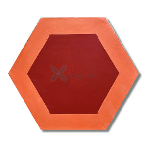BongTiles - Encaustic handmade hexagon cement tiles B215-1
