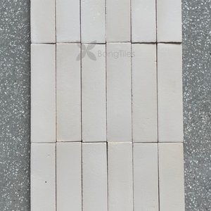 BongTiles - Handmade Glazed Tiles R200.1.0
