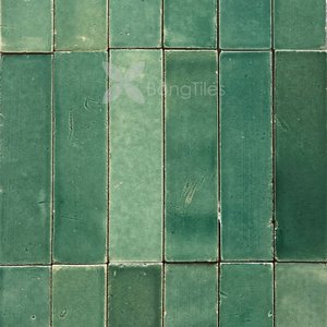 BongTiles - Handmade Glazed Tiles R200.4.4