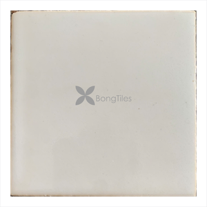 BongTiles - Handmade Glazed Tiles S100.1000